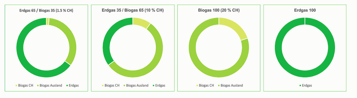 Biogas Mix 2025